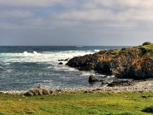 Ocean Dunes Coastline